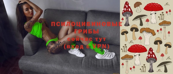ALPHA PVP Алексин