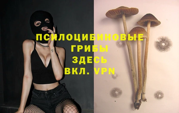 ALPHA PVP Алексин