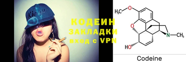 хмурый Алзамай